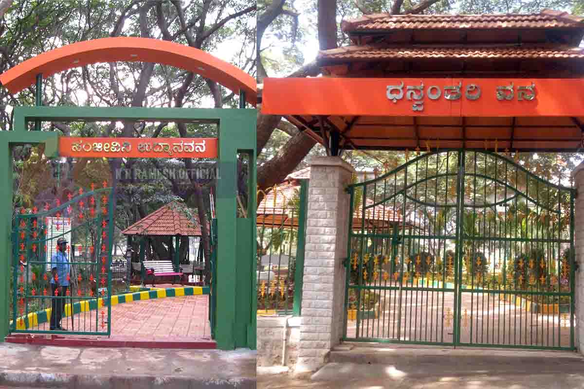 Sanjeevini Vana - Dhanvantri Vana